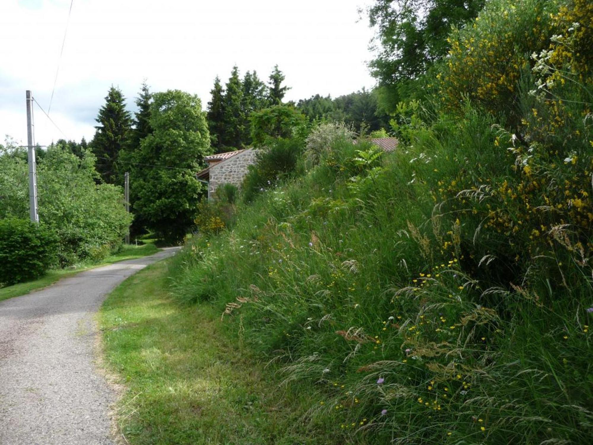 Charmant Gite Avec Terrasse, Cheminee Et Jardin, A Proximite Des Bois, Animaux Acceptes - Fr-1-496-205 Saint-Jean-Soleymieux Extérieur photo